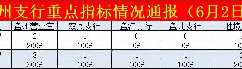 盘州支行重点业务发展情况-六月第一期