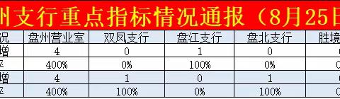 盘州支行重点指标通报-八月第四期