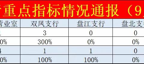 盘州支行重点指标通报-九月第3期