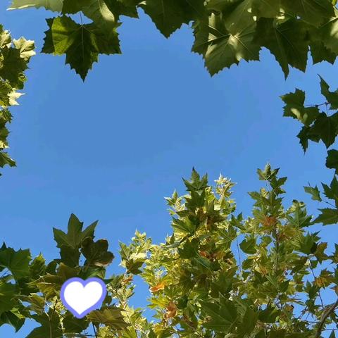 （五）纸的搭建