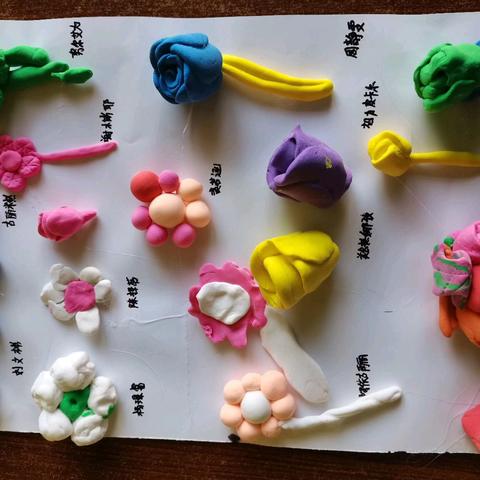 2024-11美丽的花朵