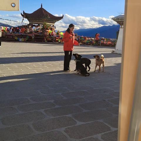 2023不想世界“来此作甚”