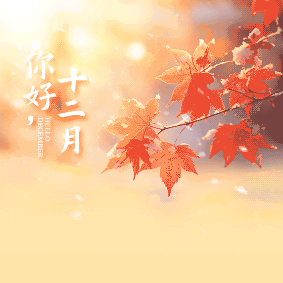 孟可不惑之感