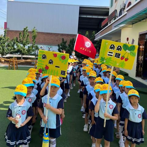 花开有时，衔接有度——启蒙幼儿园幼小衔接，走进小学实践活动