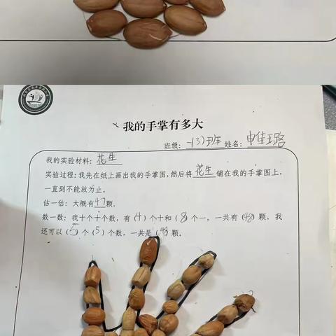 “花”样探索 “生”生不息——安居实验小学数学项目化学习成果展示