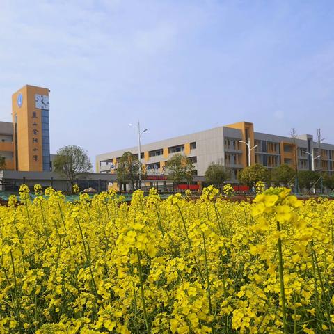 旭日中队6—8周爱心速递