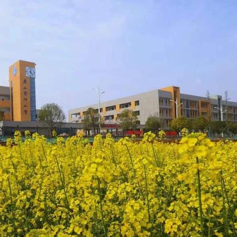 旭日中队爱心速递 3-4周