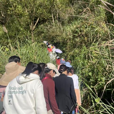 齐头并进 勇攀高峰——浦城县仙阳中心小学教职工登山活动