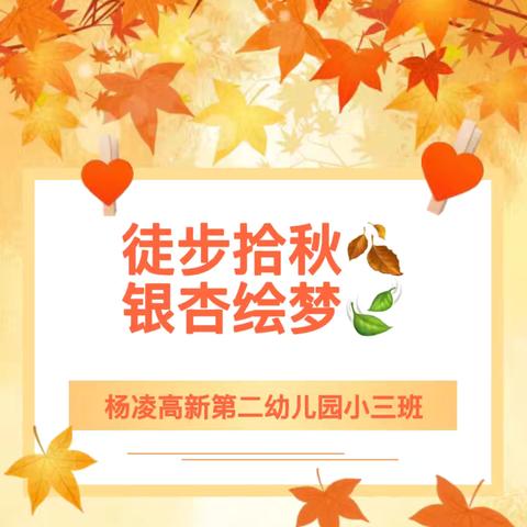 徒步拾秋🍂   银杏绘梦——杨凌高新第二幼儿园小三班秋游活动