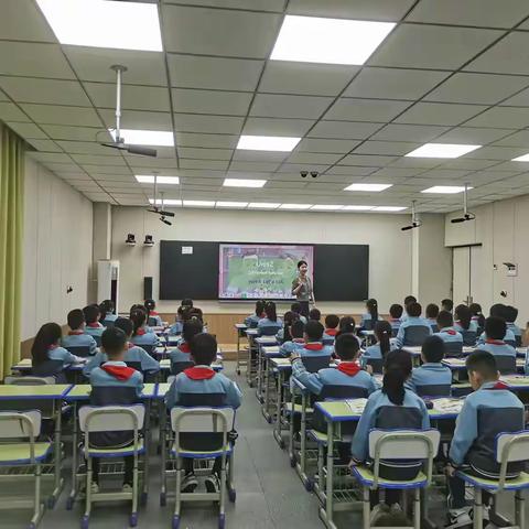 璞玉试锋芒 课堂蕴芬芳 ——临沂齐鲁园小学英语组新教师亮相课活动