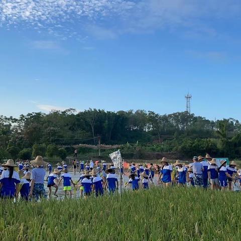 研学拓知识，实践强素质 ——记湛江市第十二中学八、九年级研学实践活动