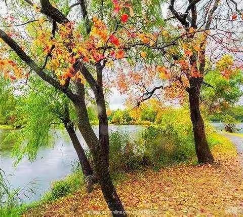 【宁陵一小，高效课堂工程】——集中听课周，我们一路同行 五年级数学组教研活动纪实