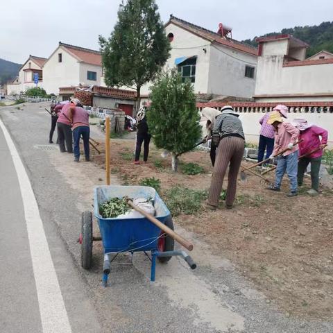 西七里村持续巩固人居环境整治成果