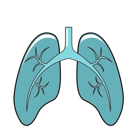 慢阻肺患者福利来了！双柏县人民医院呼吸与危重症医学科第一期慢阻肺患教会将于2月17日举办