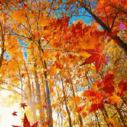 乘教研之风 展数学之美 ——记大泽山小学数学区域教研活动