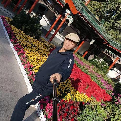 24年11月18号邯郸北京