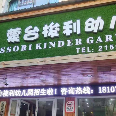 爱诺·蒙台梭利见习的一天