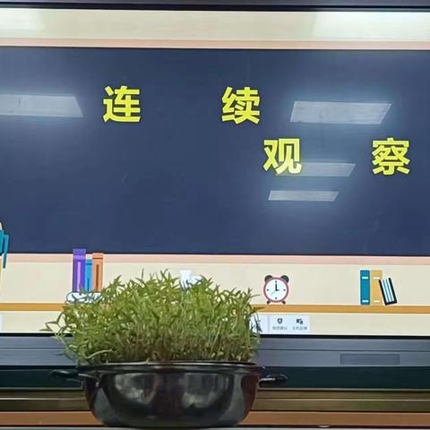 余干实验小学三、四年级语文组主题教研活动