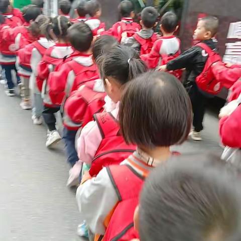 红苹果幼儿园秋游活动