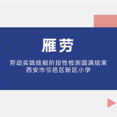 〖雁·劳〗劳动实践技能阶段性检测