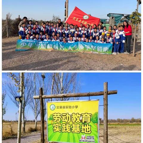 劳动体验生活 实践助力成长                 ——定襄县实验小学三（11）班开展劳动实践教育活动