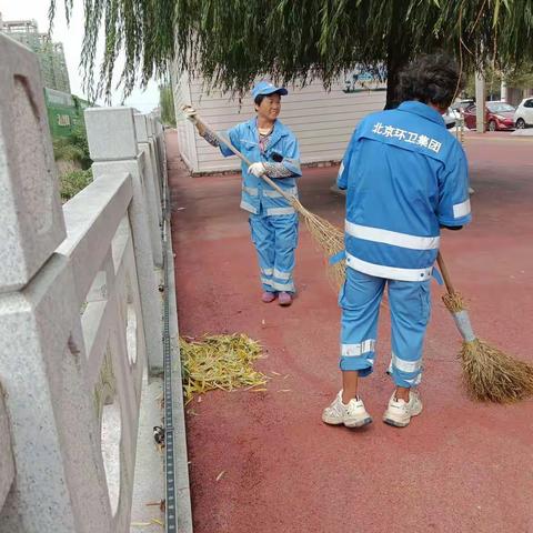 秋风潇潇落叶舞     环卫工人忙清扫