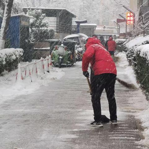 守护家园 雪中前行——龙城四季社区扫雪行动！心手相连 共抗风雪！