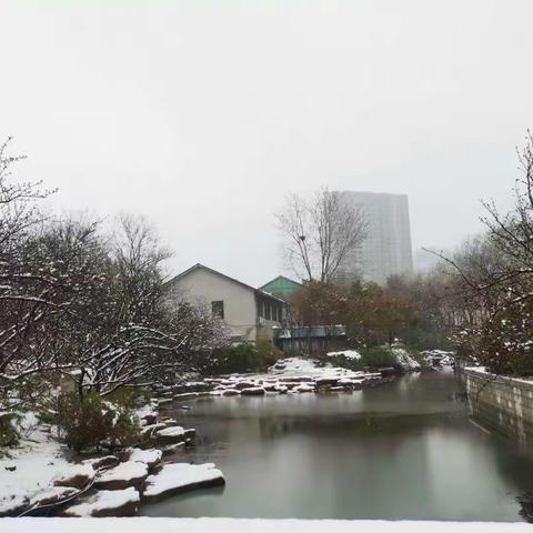 公园除雪除冰不除景，多措施保障市民游玩赏雪景