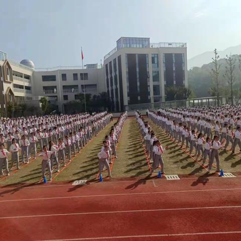 百围之木，始于勾荫——云和县实验小学实习生实习周记（一）