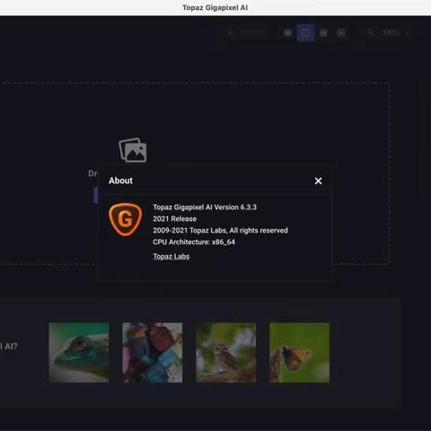Topaz Gigapixel AI for Mac(照片放大工具) 6.3.3永久激活版