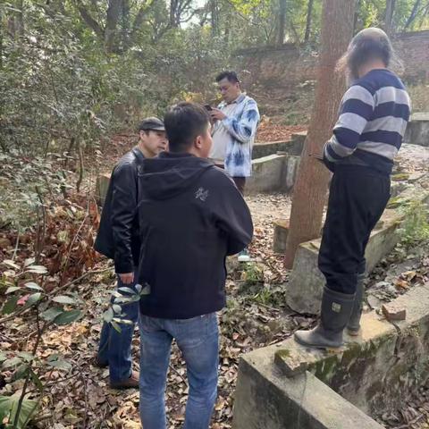 建新镇民政办扎实推进违建坟墓专项整治工作