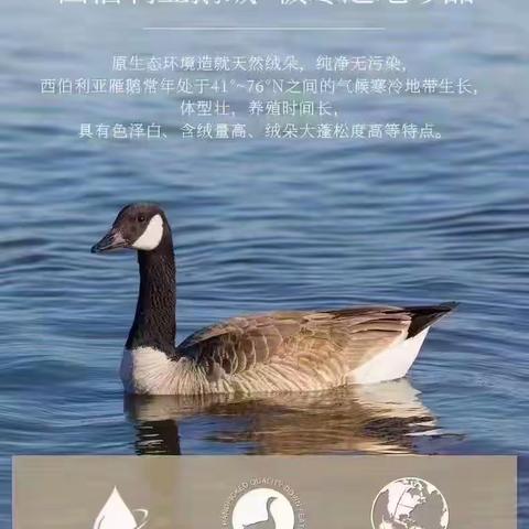 双十一超“惠”玩 “惠谊”家纺 双十一活动火热进行中～