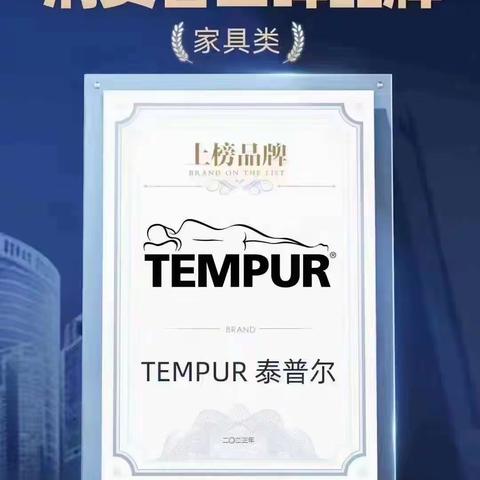 泰普尔智慧床垫  嗨购双十二  价格空前直降