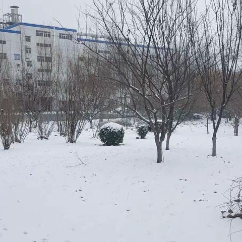 除雪保安全