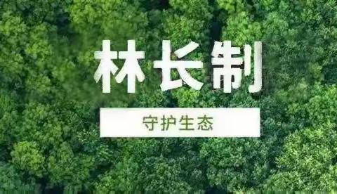 永寿县槐平国有生态林场“林长制守护生态”