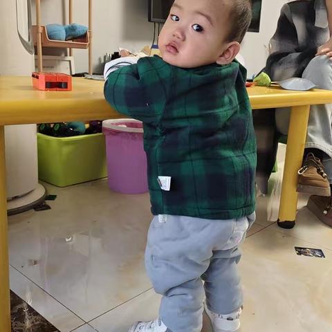 宸宸的第一个春夏秋冬——一岁成长纪念