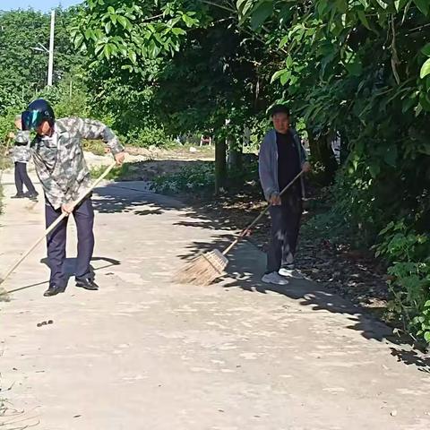 王五镇新坊村委会开展“清洁家园  防蚊灭蚊”夏秋季爱国卫生百日专项行动