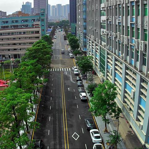 《石岩街道兴龙路（外环路-龙强路）改造工程》完工美篇