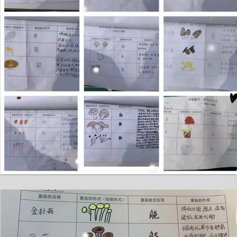 用户16415212的简篇