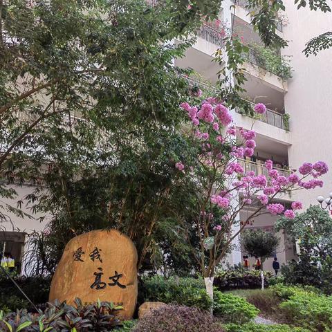 冬日护学，温暖同行——记一4班家长志愿者活动