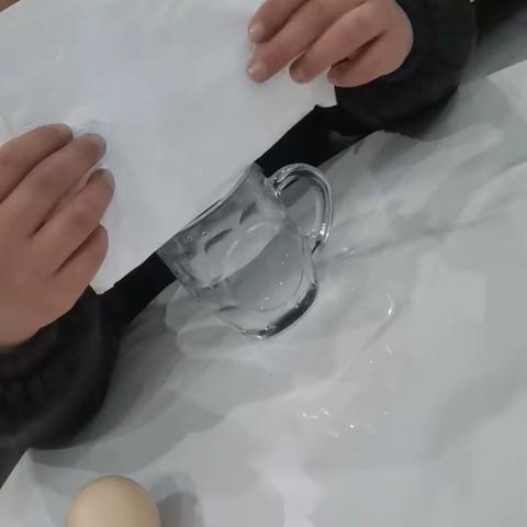 科学小实验《漂浮的🥚》