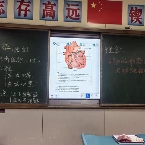 共探生命奥秘——猪心脏解剖之旅