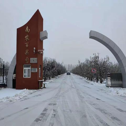 迎风雪 抗严寒