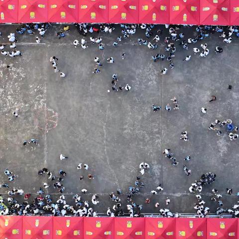 感受职业魅力，品鉴美食文化——食品工程系第五届美食文化节圆满举办