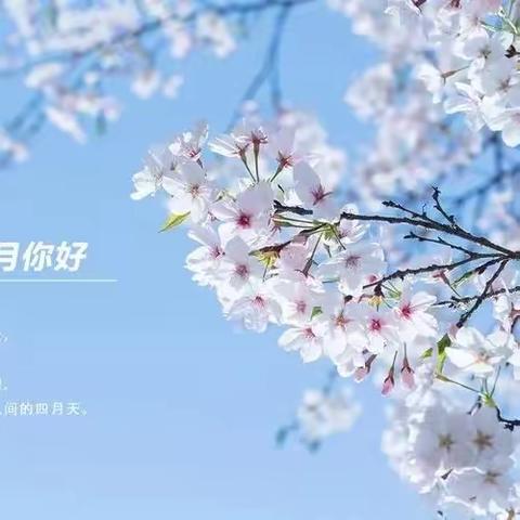 最美人间四月天🌸——蒋湖中心幼儿园大班四月美篇