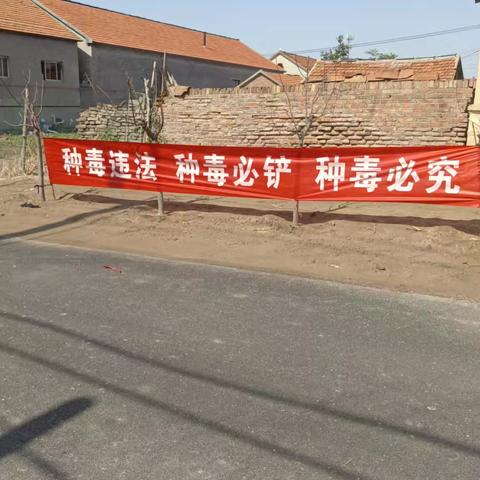 最美网格的简篇