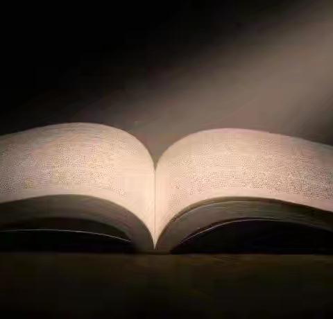 好书是阳光，照亮我们人生的航道；好书是蜂蜜，甘甜我们生活的芳香；好书是清泉，荡涤我们生命的河流。