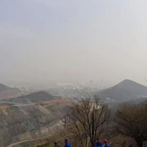 工业与自然的和谐共生