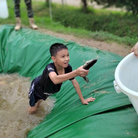 传承农耕文明，筑梦励志笃行——肇庆市高要区小湘镇中心小学研学实践教育活动