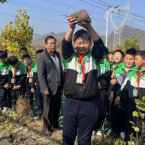 劳动砺心志，实践促成长——蓝旗营中心小学劳动实践活动